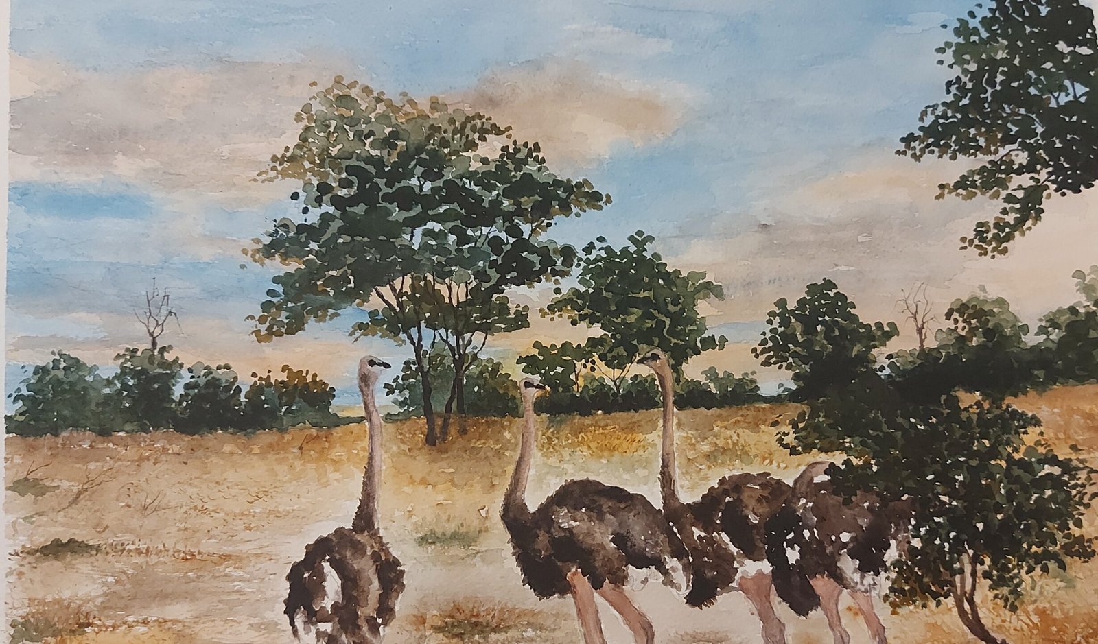 The Remaining Giants Birds of Matabeleland South 1 by Fanele Sibanda (2024)-Limited edition
