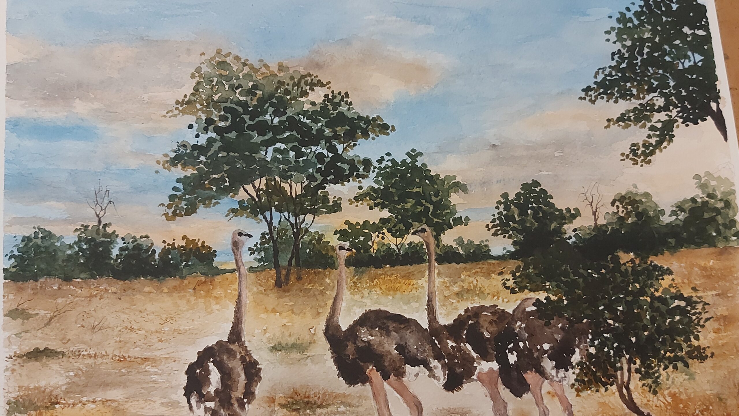 The Remaining Giants Birds of Matabeleland South 1 by Fanele Sibanda (2024)-Limited edition