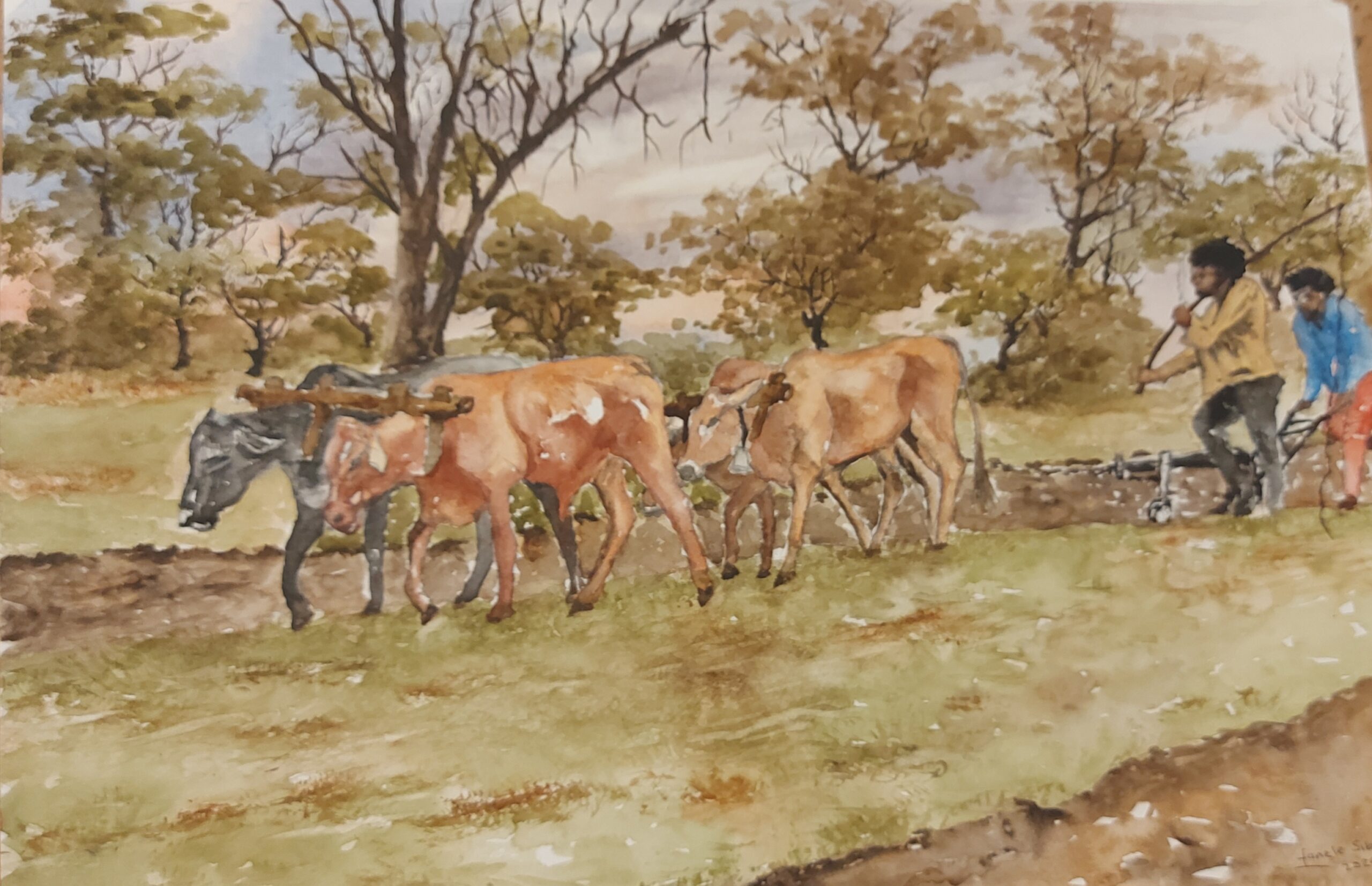 Ploughing with Oxen- 1 by Fanele Sibanda(2024)-Limited edition