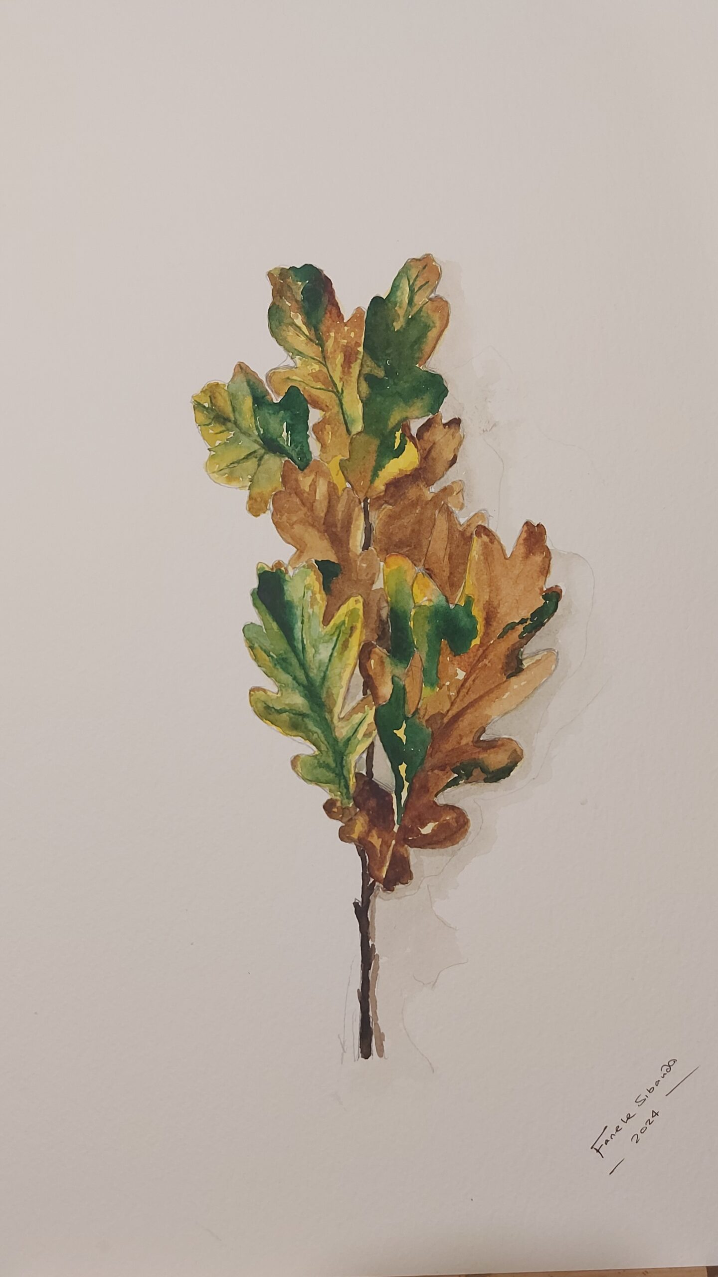 Dried Oak Leaves- 1 by Fanele Sibanda (2024)-Limited edition