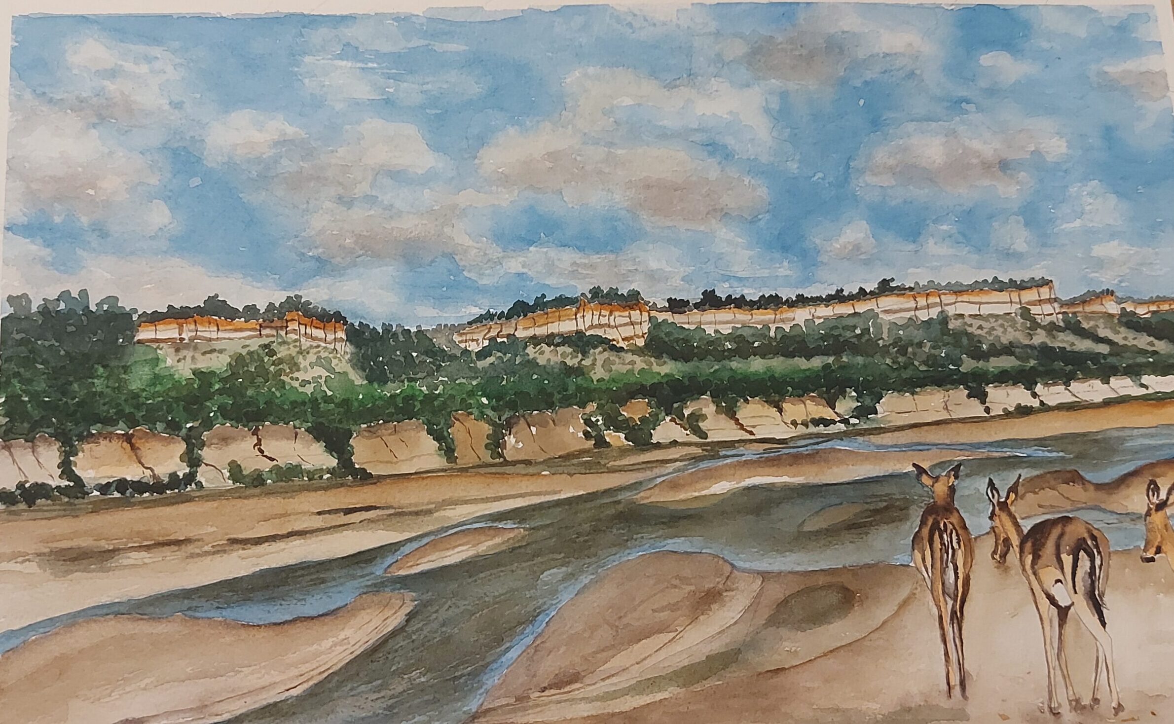 Spingboks on the Runde Riverbed 1 by Fanele Sibanda (2024)-Limited edition