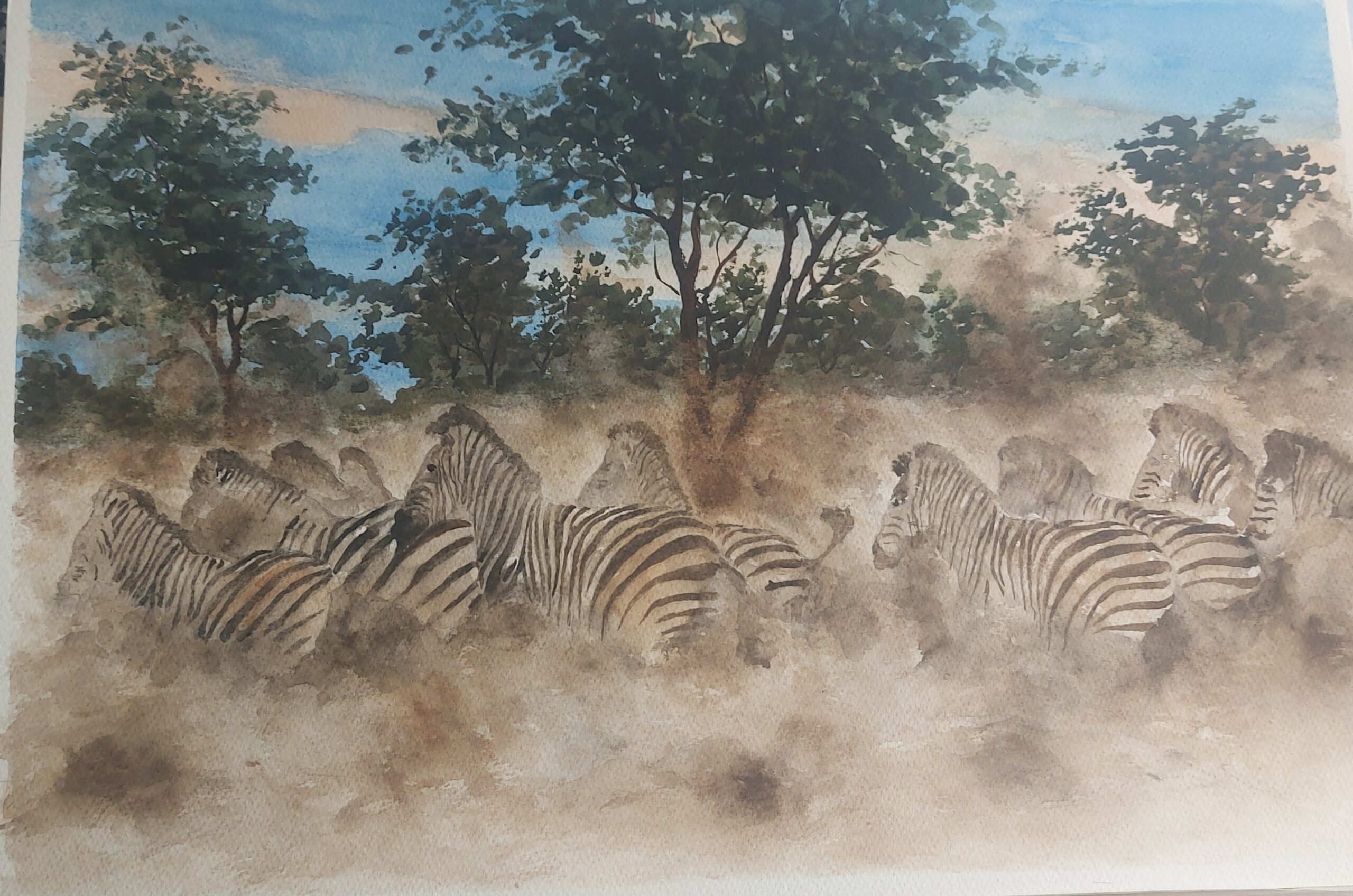 The Zebras Stampede-by Fanele Sibanda (2024)-Limited edition