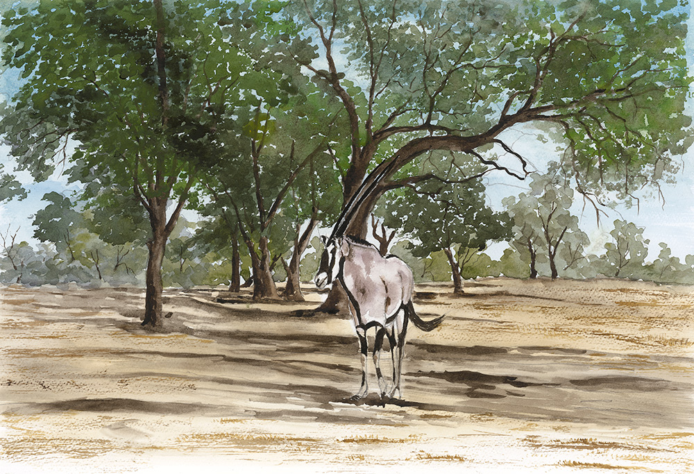 The Amazing Gemsbok-by Fanele Sibanda (2024)-Limited edition
