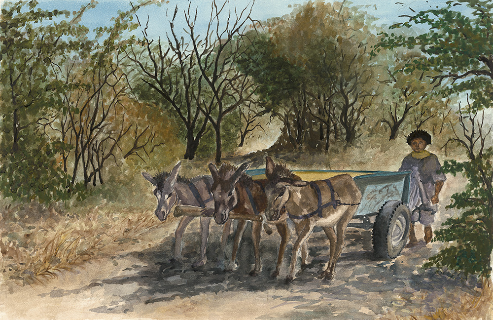 The Scotchcart Journey 1-by Fanele Sibanda (2005)-Limited edition