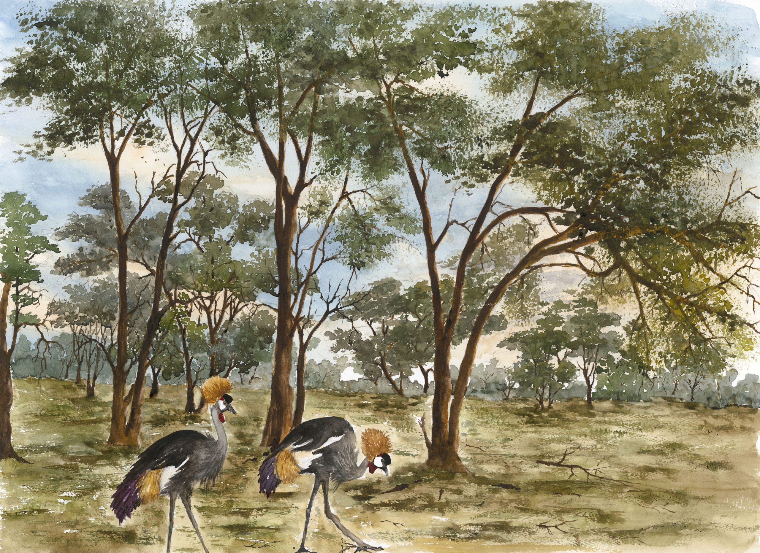 The Artist & the Crowned Cranes of 10 Acres- series 2 by Fanele Sibanda (2025)-Limited edition